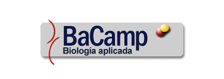 BaCamp
